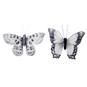 Sommerfugl sorte hvide nuancer sæt. 10 cm